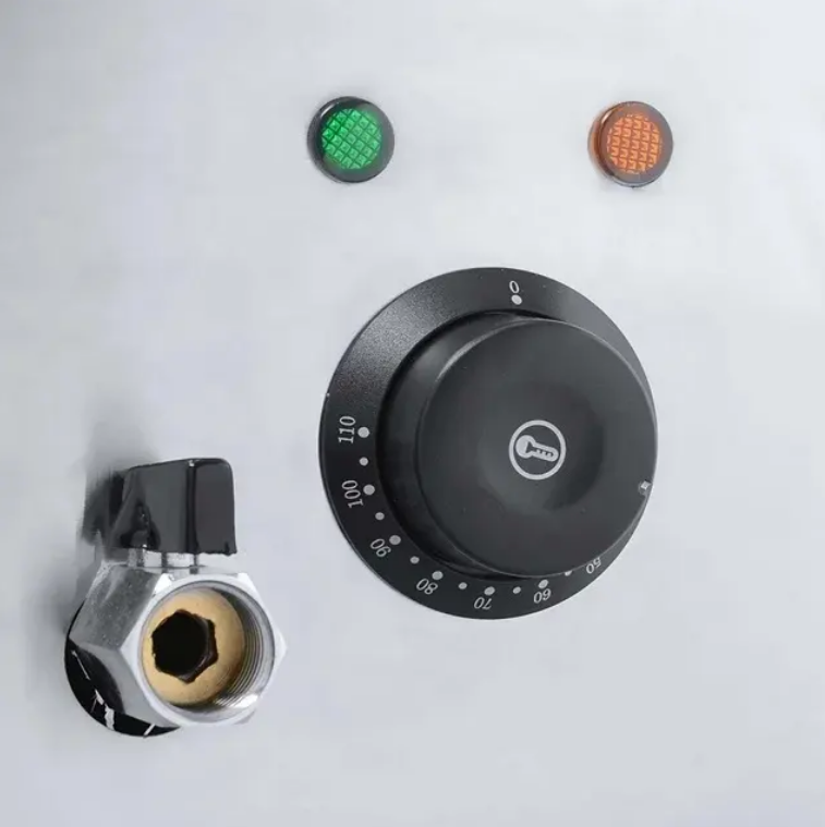 Desktop Electric Pasta Cooker
